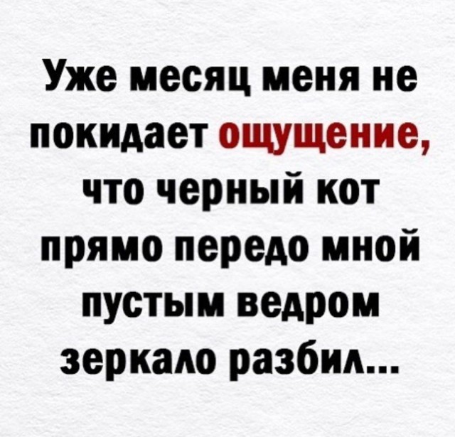 Доброе утро, падонги!