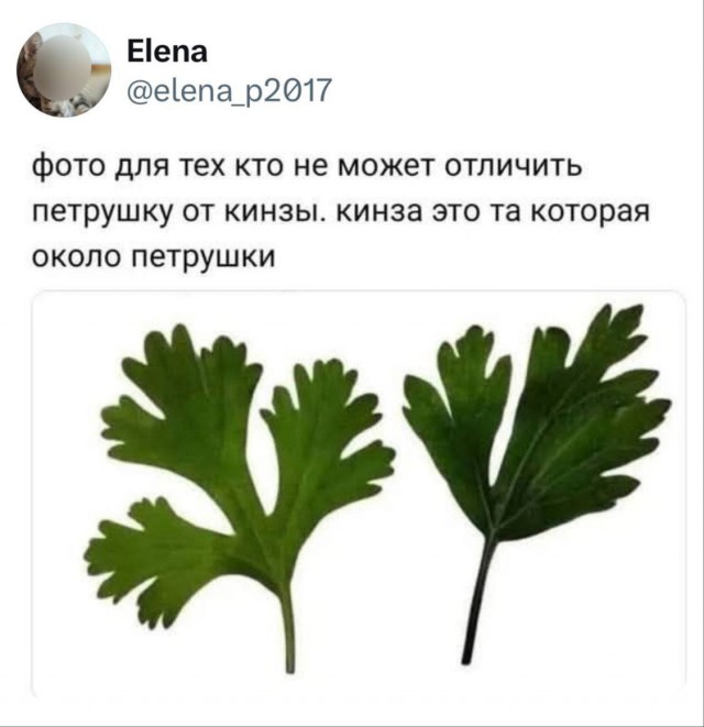 Маленькая пятница 7.05.25
