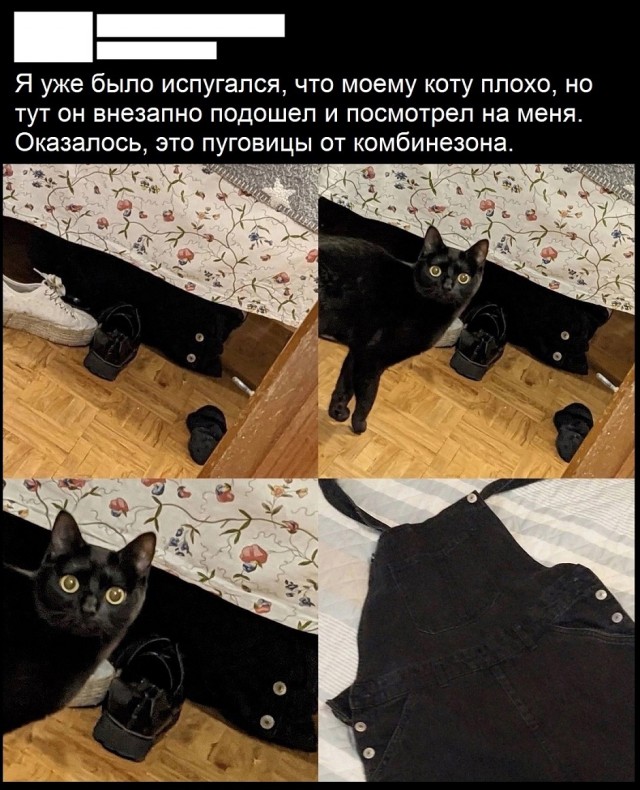 Так себе картинки 28.06.25