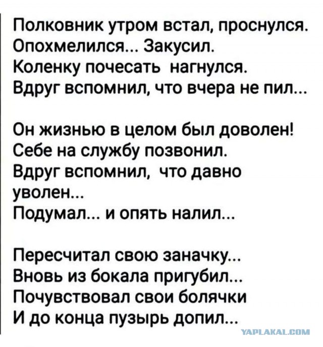 Картинки для деградации 11 (разной степени свежести)