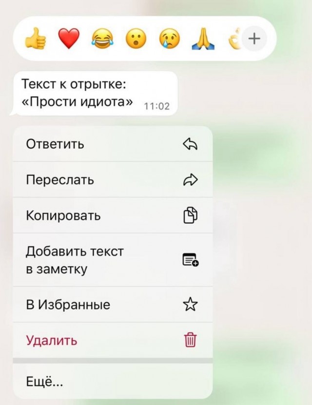 «Прости идиотка».