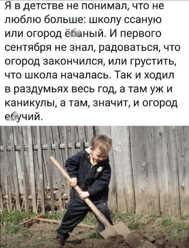 Так себе картинки 29.09.25