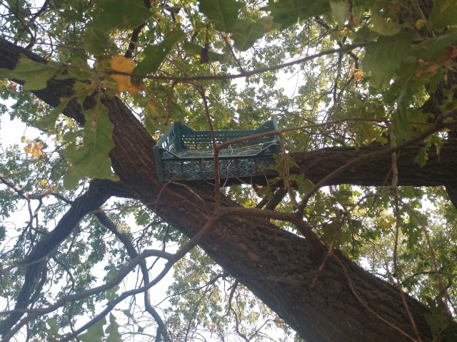 Вот что это?