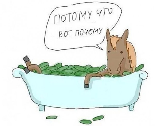Почему на всех ледовых катках мира люди двигаются против часовой стрелки?