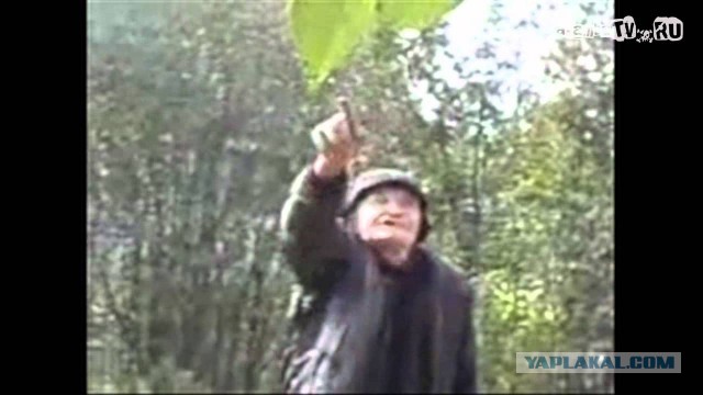 Шанс успеха - призрачный
