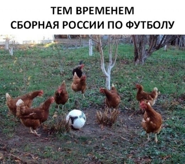 Так себе картинки 25.01.26