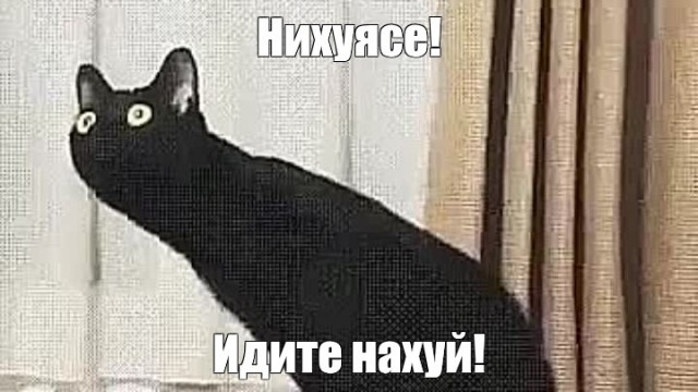 Рютте: войска НАТО появятся на Украине сразу после заключения мира