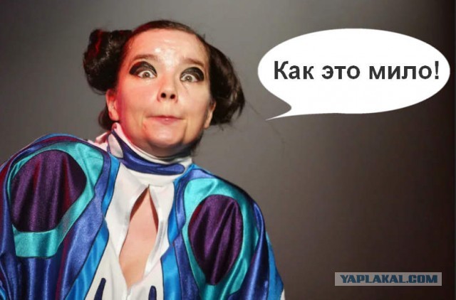 Björk — сама странная викинг певица