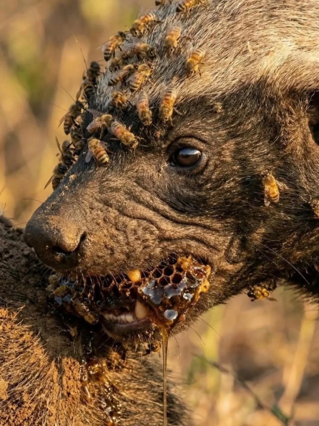 Картиночки, баянчики 01 марта