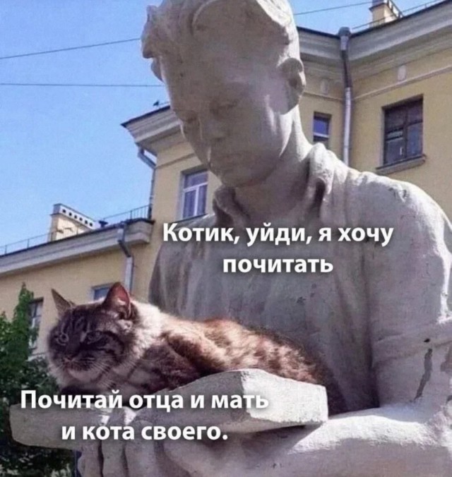 Картинки для деградации 172 (разной степени свежести)