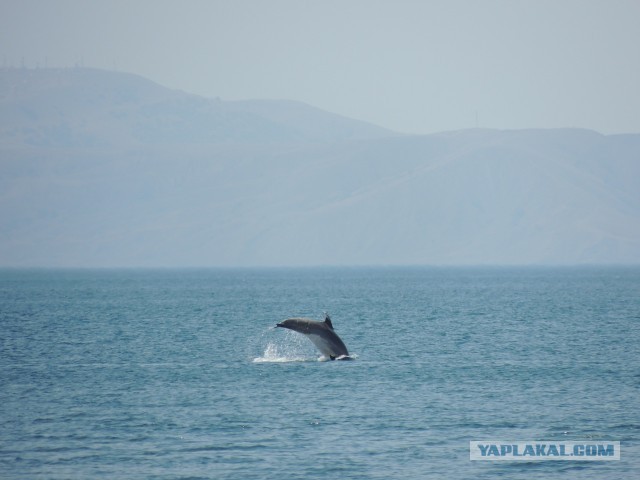 Как мы в Крым катались