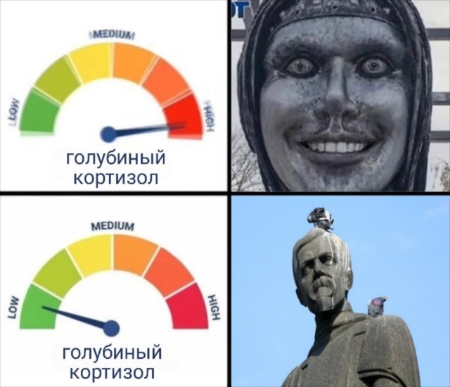 Голуби боятся женщин сильнее чем мужчин, — учёные