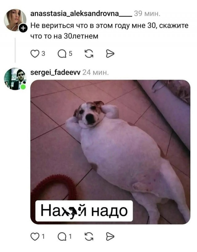 Картинки для деградации 208 (разной степени свежести)