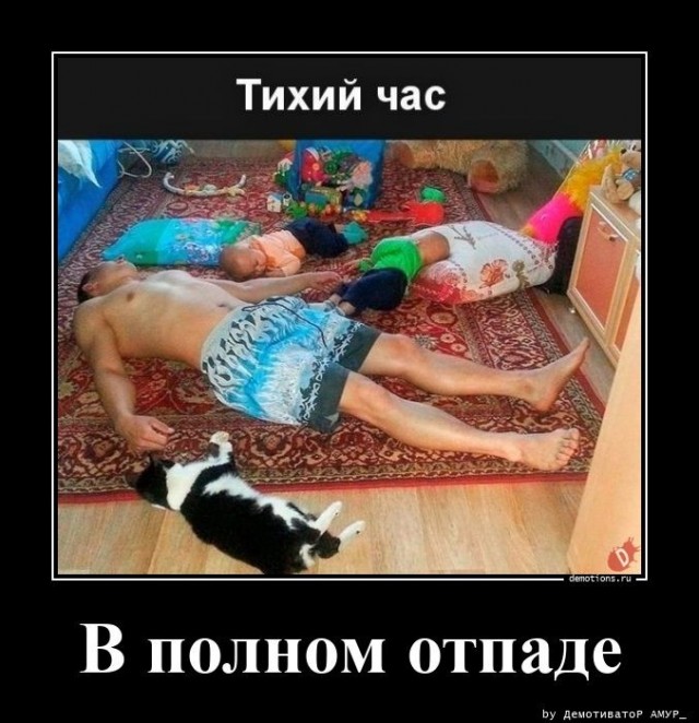 Так себе картинки 11.07.26