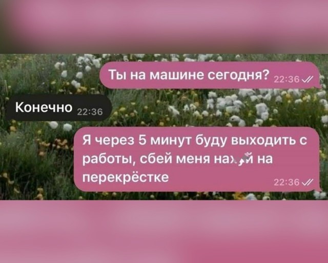Так себе картинки 18.07.26
