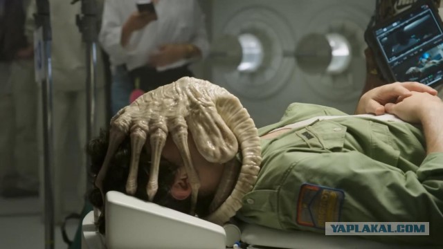 В США создали пластырь, улучшающий сон
