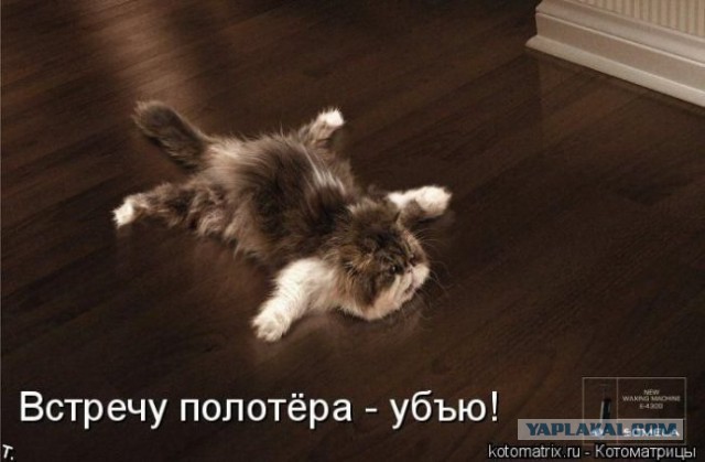 Любопытство до добра не доведет.