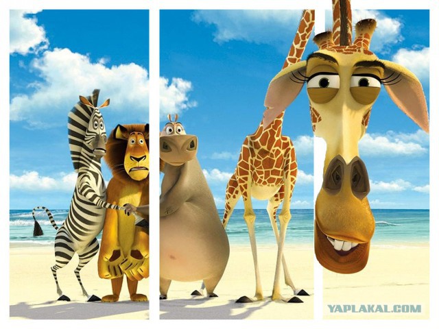 Простой способ сделать 3D фотографию