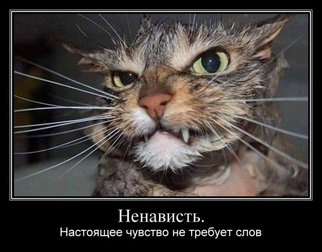 Демотиваторов пост, добавляйте свои