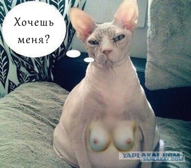 Адский фотошоп