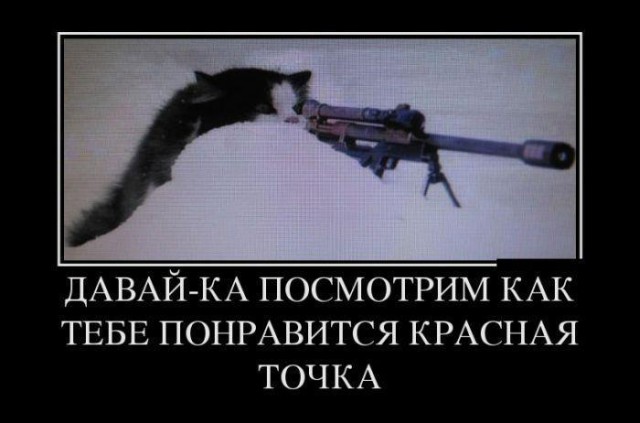 Весёлые картинки
