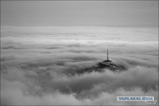Хочу в Россию.