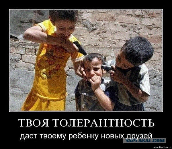 Мусульмане просят Путина