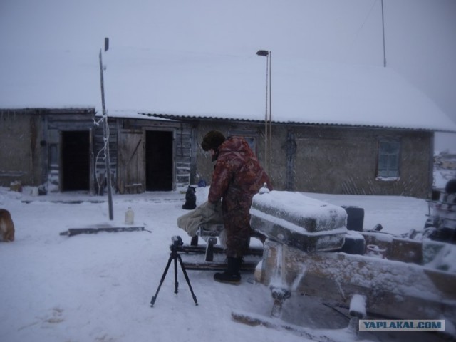 Один день в гостях у оленеводов.