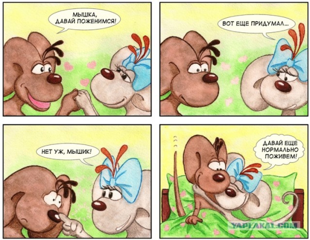 Отличия холостяцкой и женатой жизни