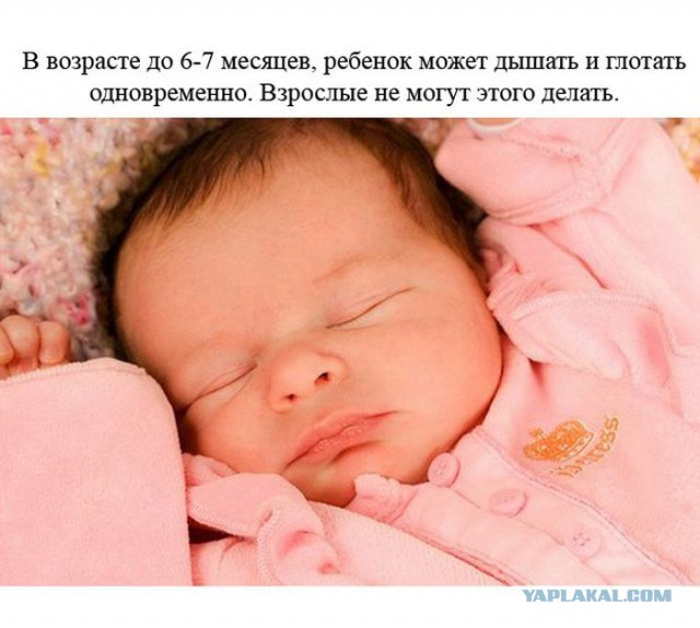 Интересные факты о разном