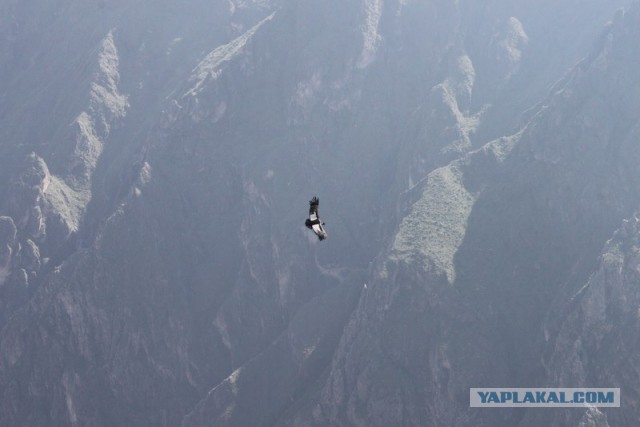 Отчет о путешествии в  Перу