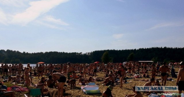 О посещаемости пляжей в Крыму