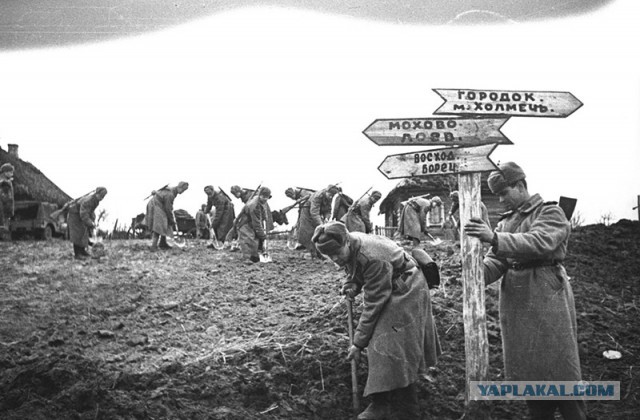 Великая Отечественная война в трактовке советской исторической науки