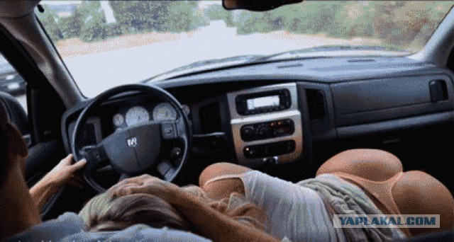 16 полезных автомобильных аксессуаров, которые сделают поездки комфортней