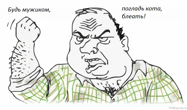 Кот мешает читать ЯП