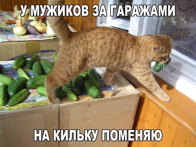Подборка интересных и веселых картинок