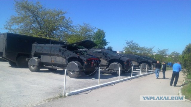 В Крым приехали «Фалькатусы» ФСБ