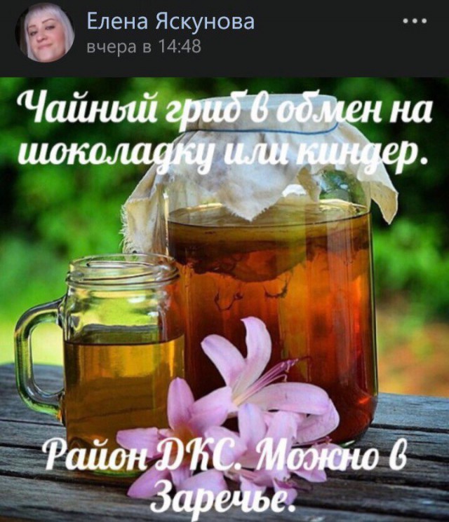 Трешак и вакханалия из соц. сетей (8)