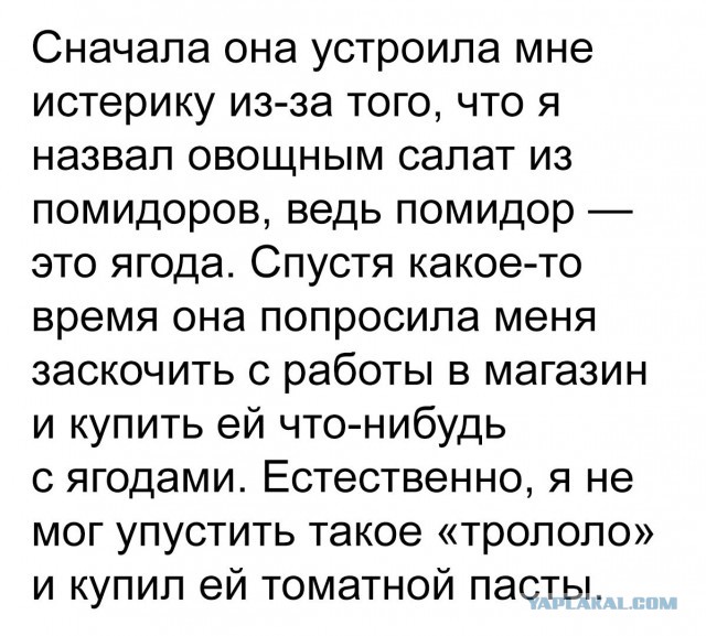 Они не пошли против системы, они её сломали к чёрту