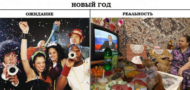 23 фото, после которых у вас появится новогоднее настроение