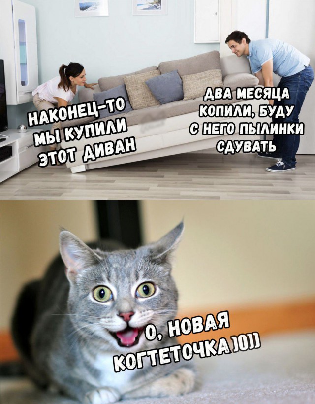 Нестандартный юмор