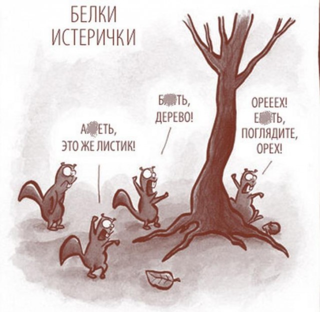 Юбилею мужчине, картинка квест прикол
