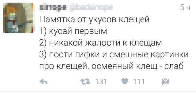 Прикольные картинки обо всем