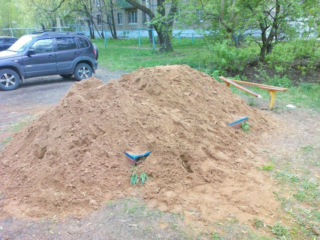 Да что тут вообще происходит?