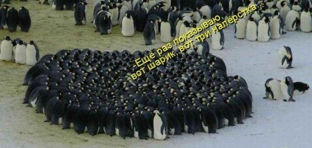 Специфический юмор