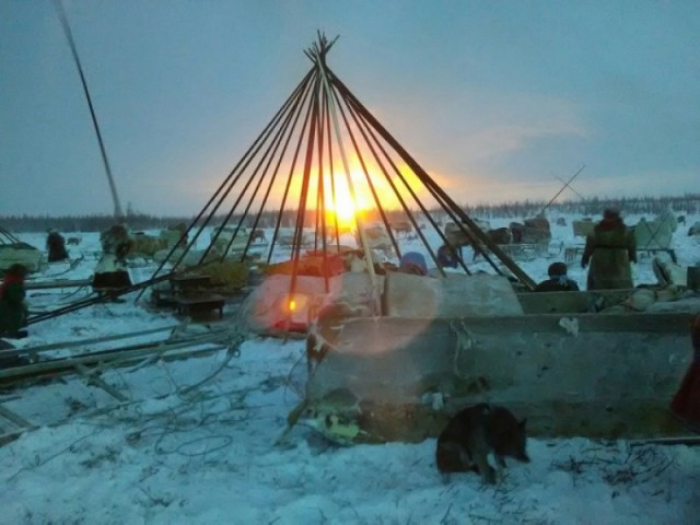 Шаманы, запах в чумах и секс с женами. 5 мифов о жизни оленеводов в ямальской тундре