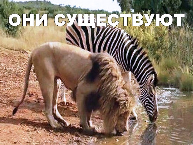Нестандартный юмор