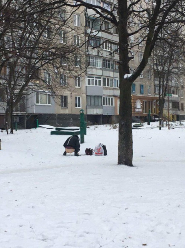 Скотсети и прочие интернеты 21.01.19
