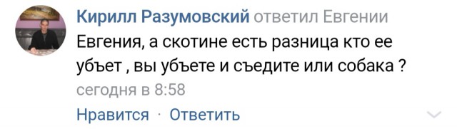 Как лживая зоозащита травит людей за бродячих псов