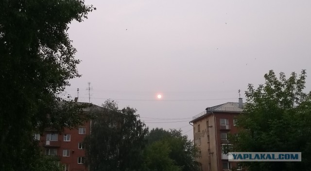 Похоже на ядерную зиму